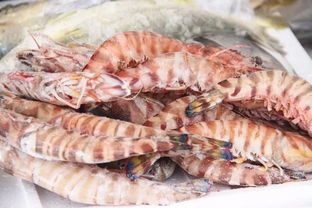 台州新添海鲜批发市场，极致鲜猛，价格亲民到惊喜！