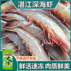 每日450g水产品与海鲜批发的经营要点与市场前景分析