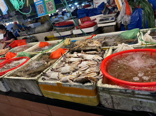 全面开渔一周，温州人钟爱的海鲜迎来价格大跳水