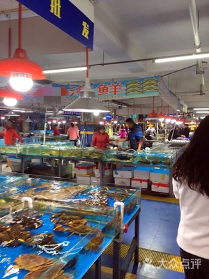 东豪酒店俊曦海鲜水产批发 品质与服务的双重保障