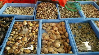 厦门海鲜市场动态 赤潮无扰，价格微调