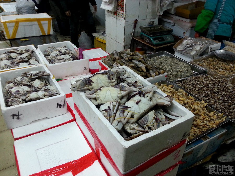 探寻大庆站前海鲜批发市场 海鲜批发的鲜活盛宴