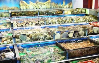 朱记锦衣卫海鲜批发 揭秘总部所在地，共创海鲜创业新蓝海