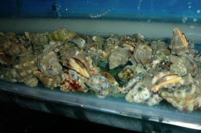 长沙年货采购全攻略 海鲜批发市场与热门年货地点推荐